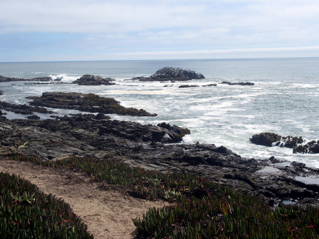 Bean Hollow State Beach景点图片