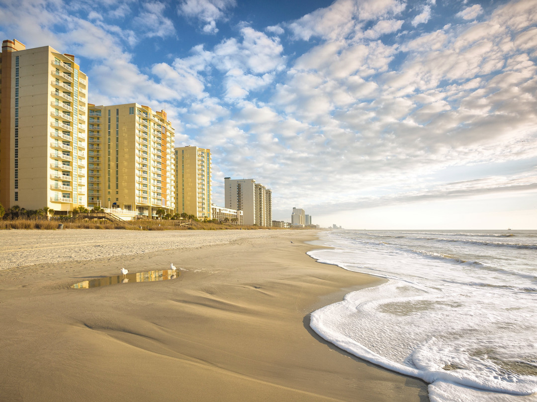 Club Wyndham Ocean Boulevard主图