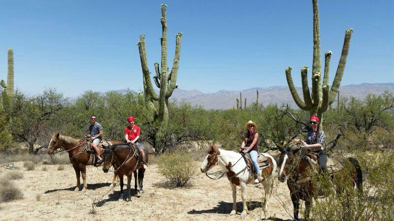 Houston's Horseback Riding景点图片