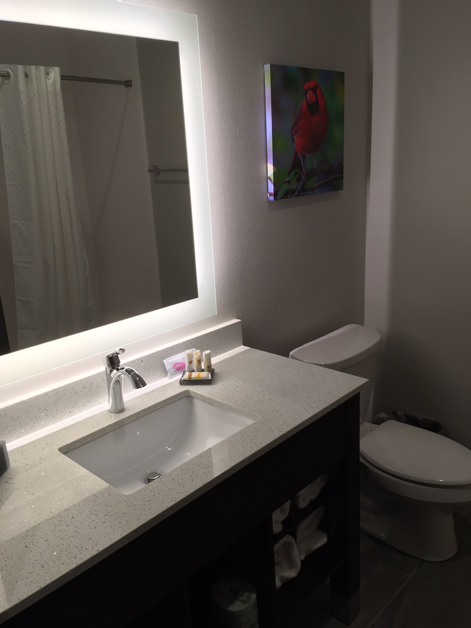 La Quinta Inn & Suites by Wyndham Bloomington-浴室