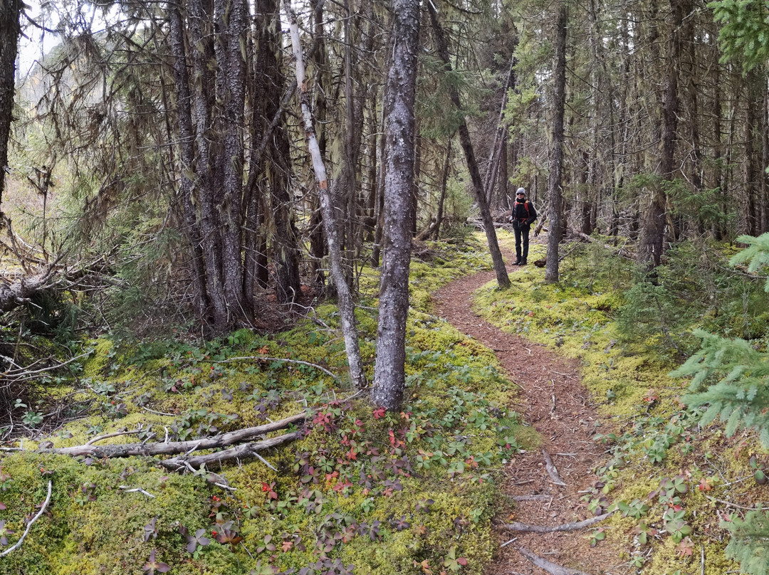 Sentier Les Pionniers-Saint Urbain必去景点