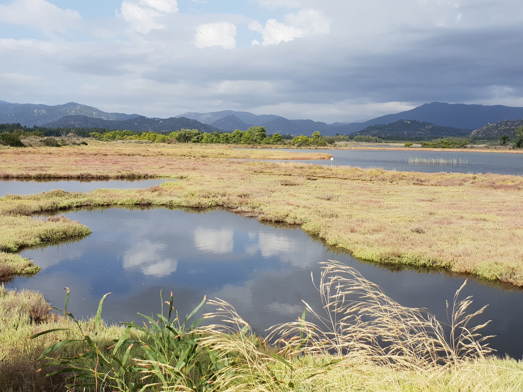 Stagno di Colostrai-Muravera必去景点