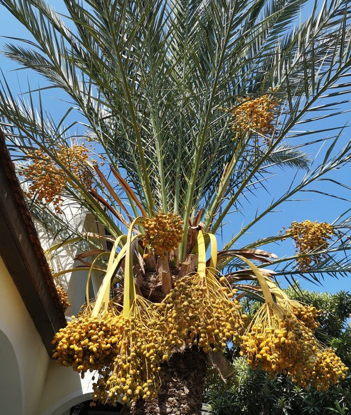 Club Alda Hotel主图