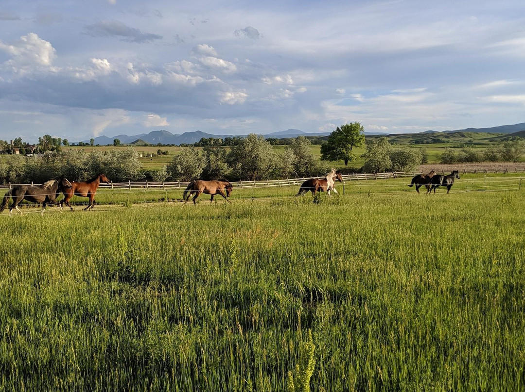 Bridgit Wald-博尔德必去景点