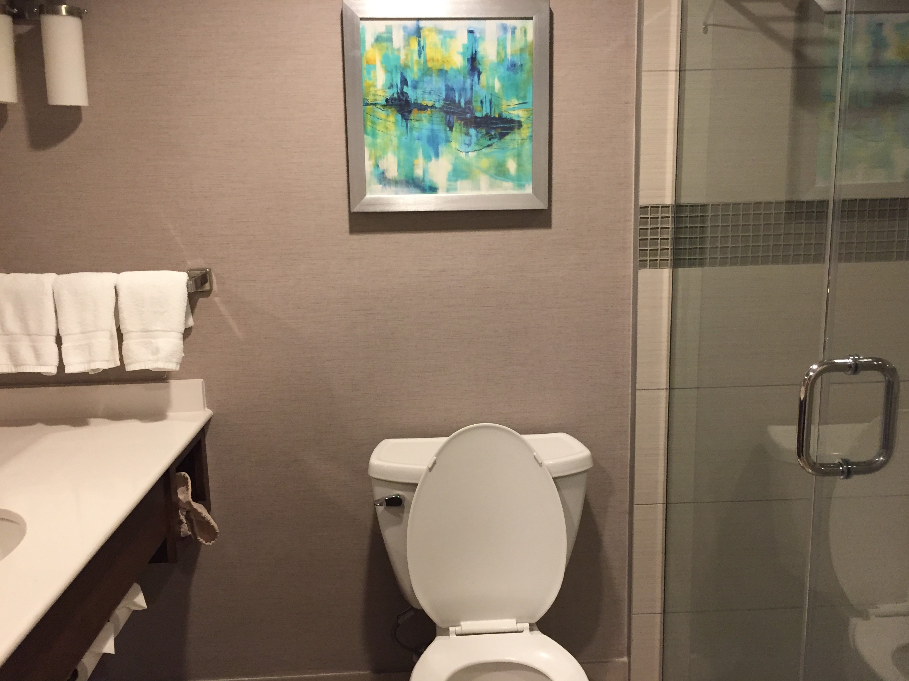 Hilton Garden Inn Lubbock-浴室