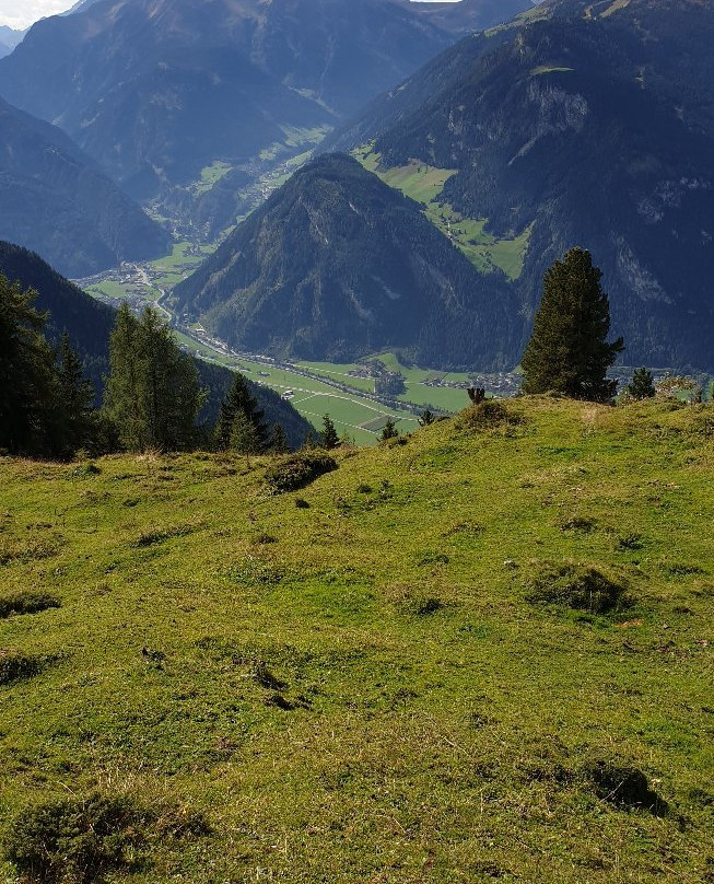 Zeller Bergbahnen - Zillertal Arena景点图片
