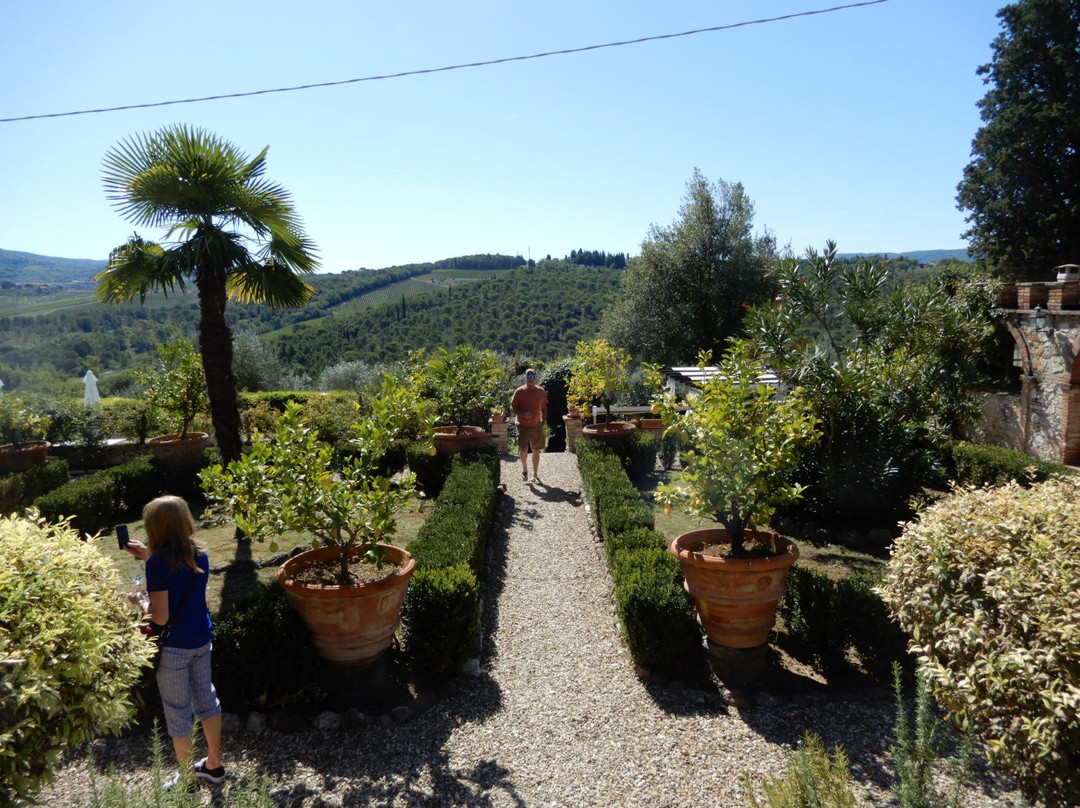 Agriturismo Villa il Leccio主图
