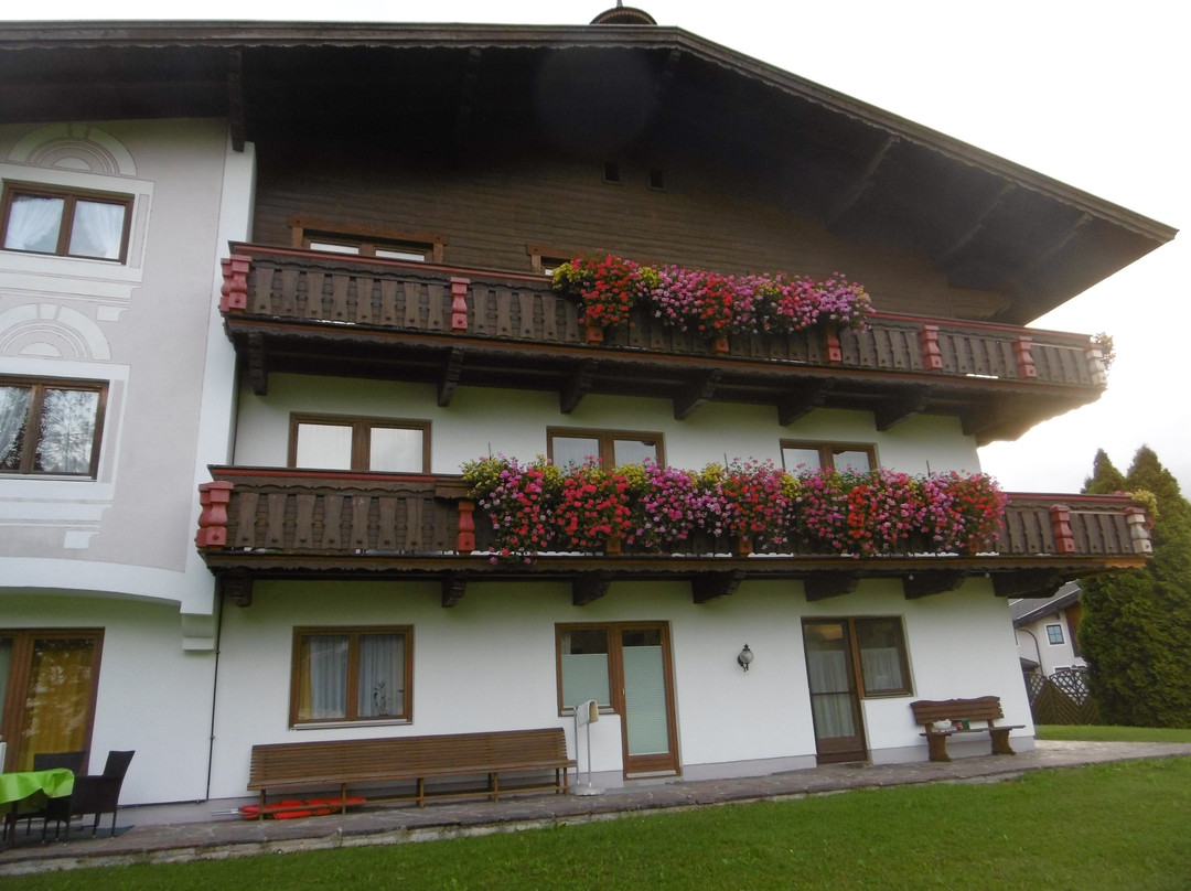 Der Michaelerhof主图