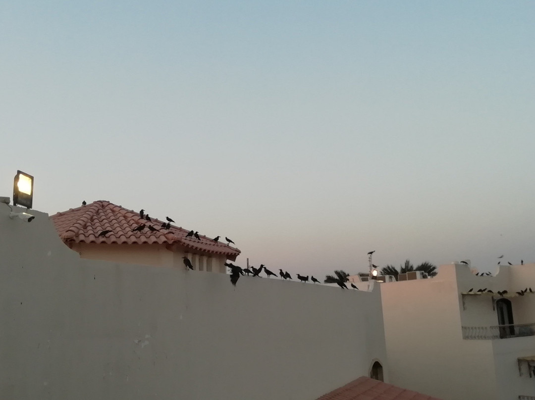 Lotus Bay Resort主图