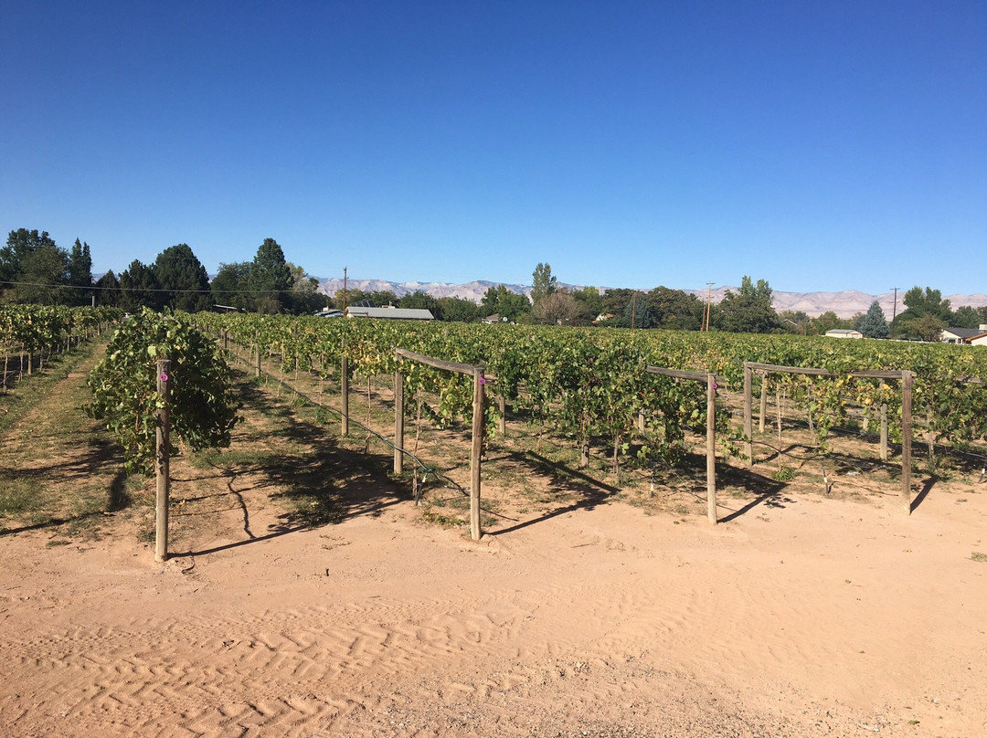 Two Rivers Winery景点图片