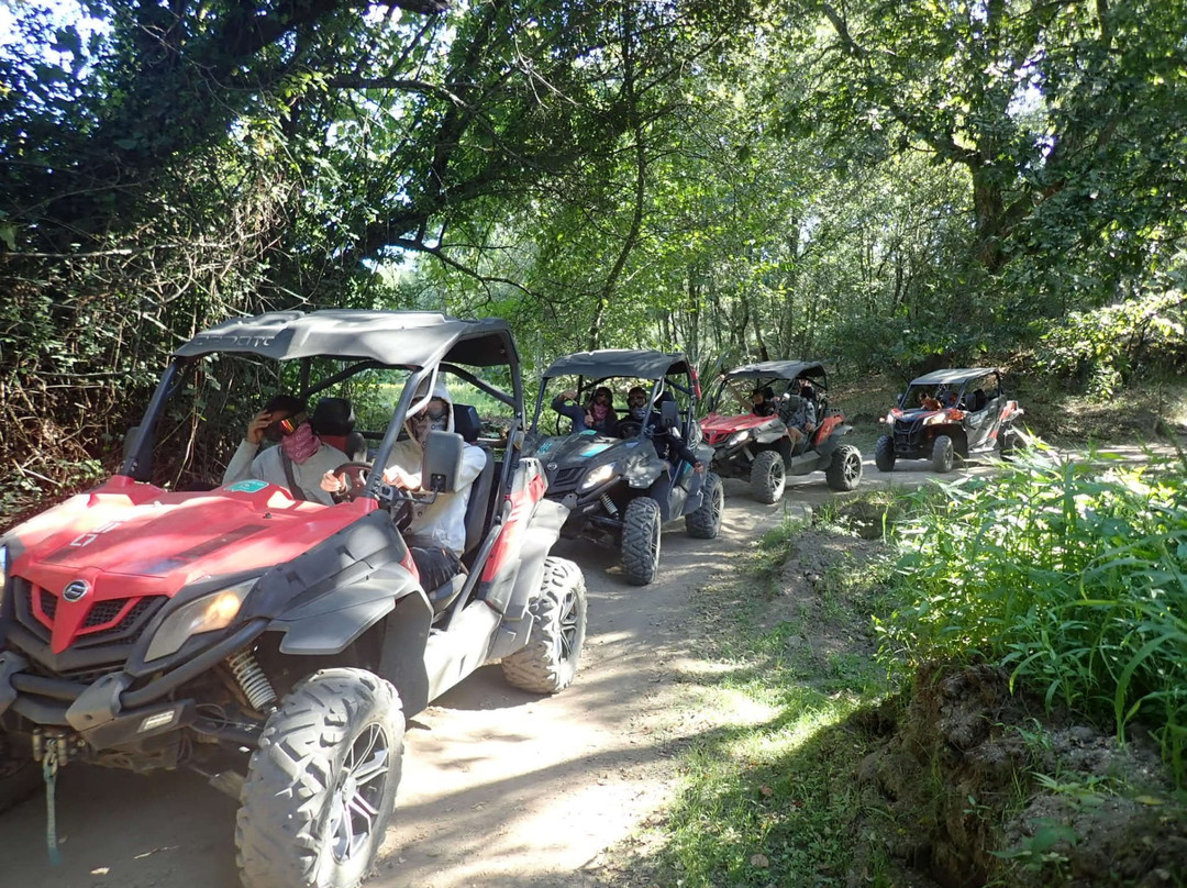 Oporto Buggy Adventure景点图片