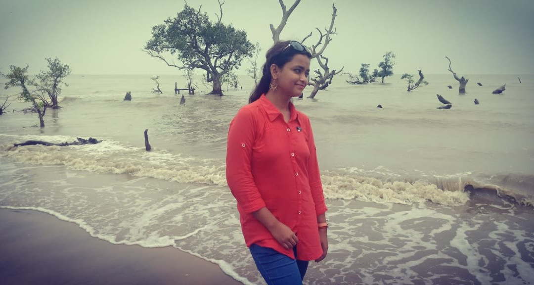 Bichitrapur Mangrove Reserve景点图片