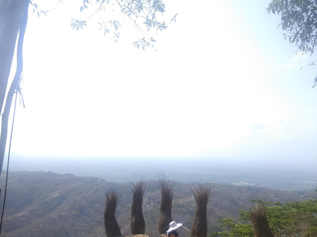 Pinus Pengger Nature Tourism景点图片