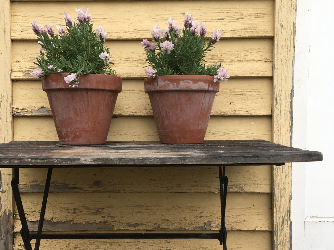 Mother Goose Cafe and Pantry