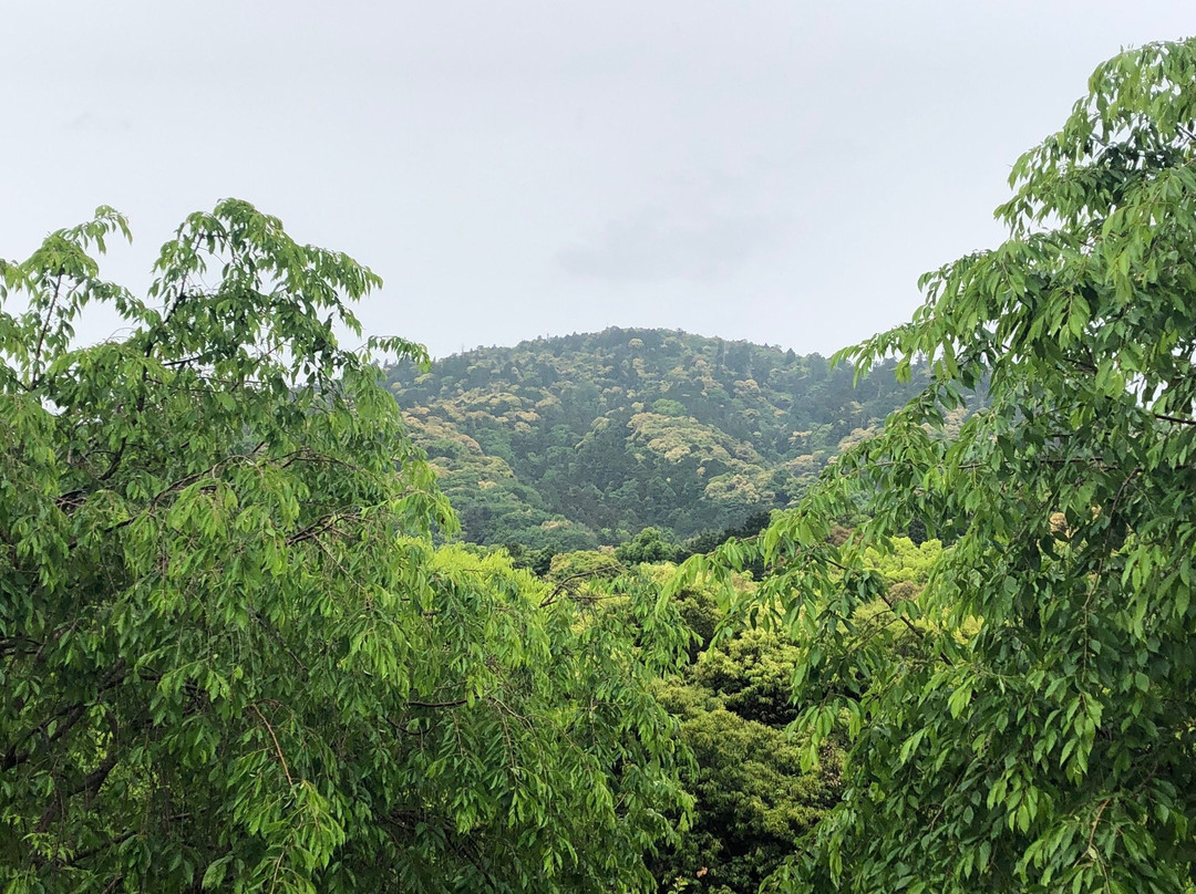 Mt. Miwa-樱井市必去景点