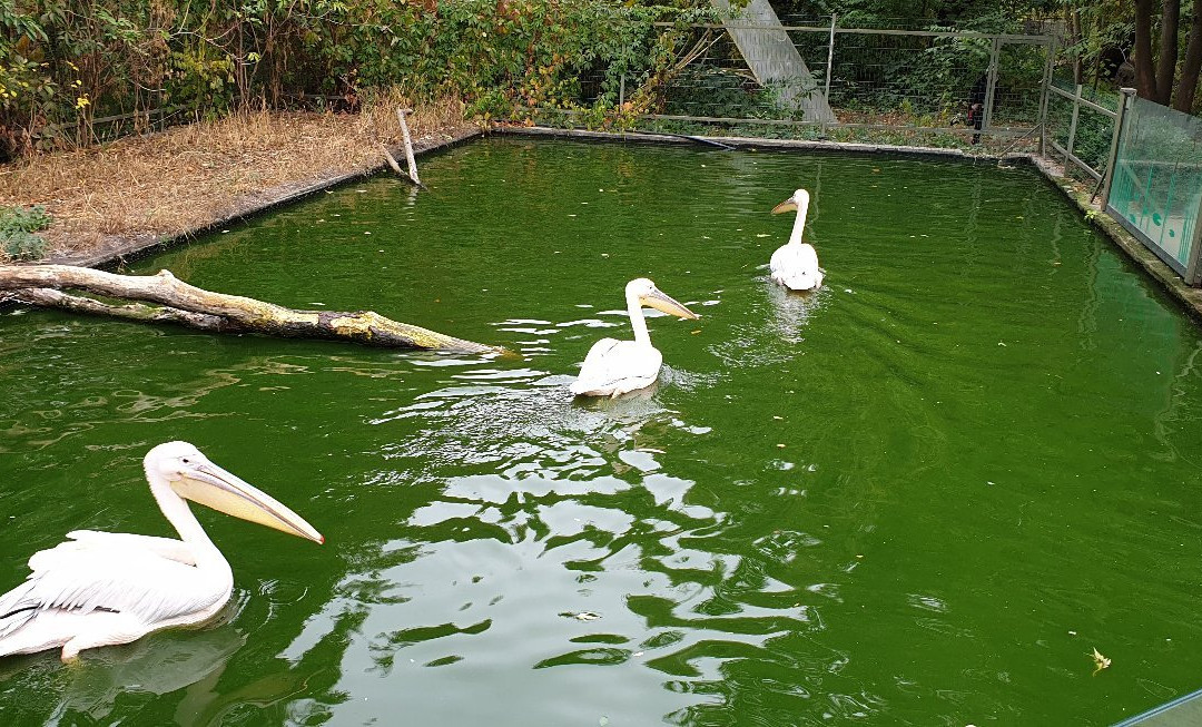 Cherkasy Zoo-Cherkasy必去景点