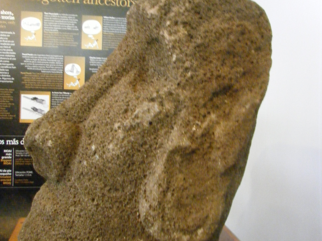 Museo Antropologico P. Sebastian Englert-复活节岛必去景点