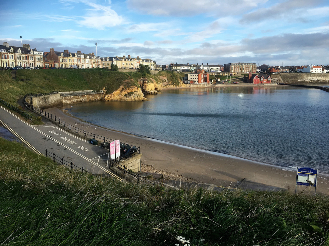 Cullercoats Beach景点图片