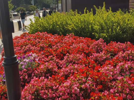 Private Arrival Transfer from JFK LGA EWR to NYC-布鲁克林必去景点