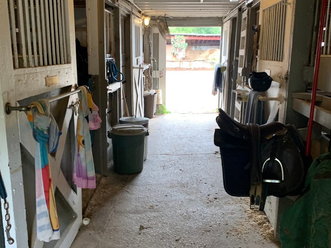 Palos Hills Riding Stables-Palos Hills必去景点