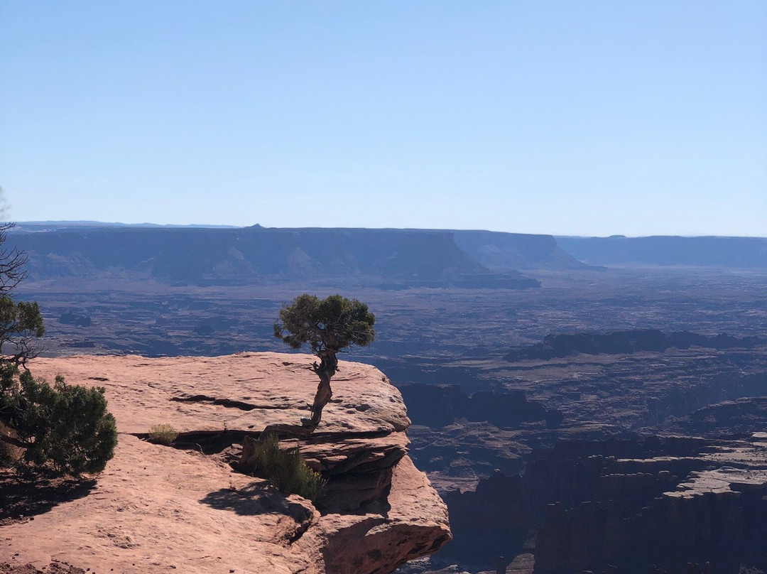 Grand View Point Overlook景点图片