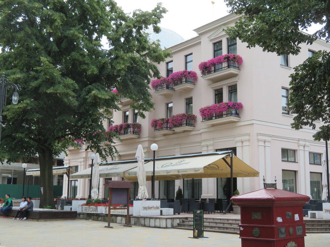 Zepter Hotel主图