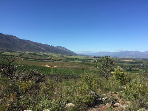 Murludi Farm-塔尔巴赫必去景点