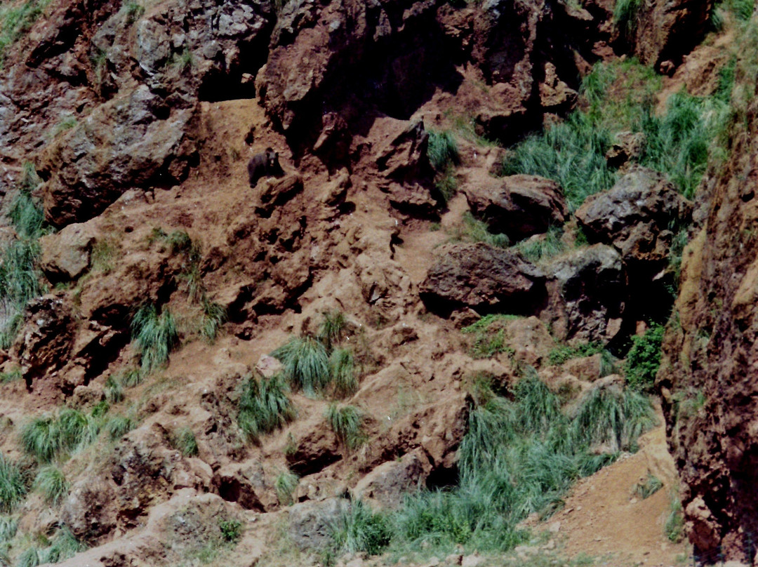 Parque de la Naturaleza de Cabarceno景点图片