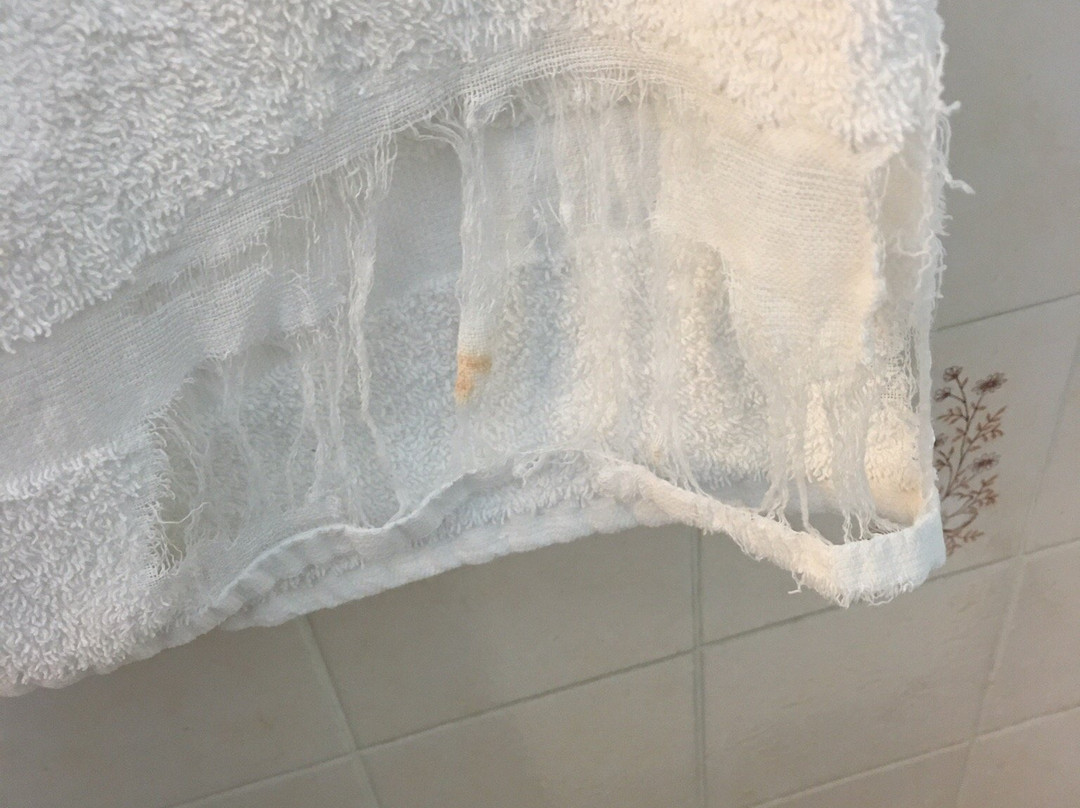 Seven Oakes Motel主图