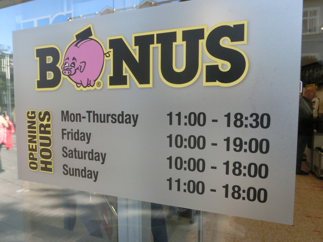 Bonus-雷克雅未克必去景点