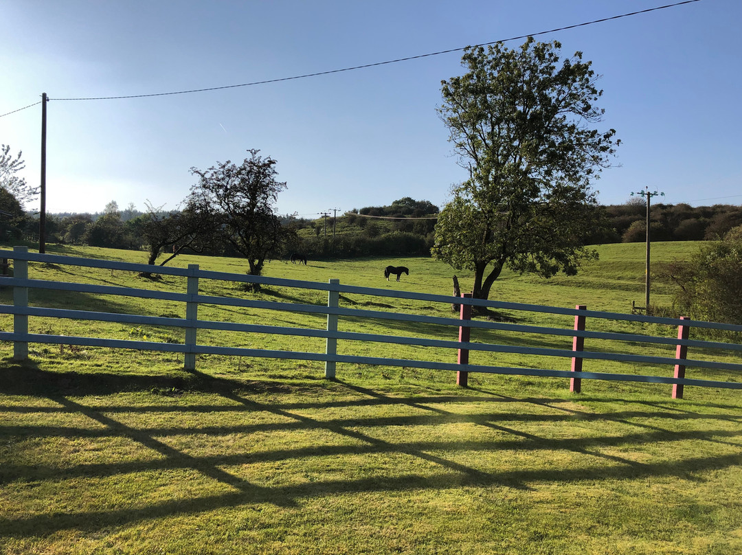 Glan Llyn Farm House主图
