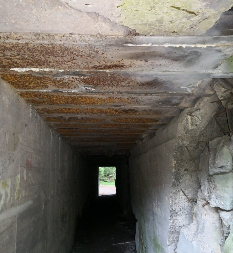 Hochwald Polowa Kwatera Heinricha Himmlera景点图片