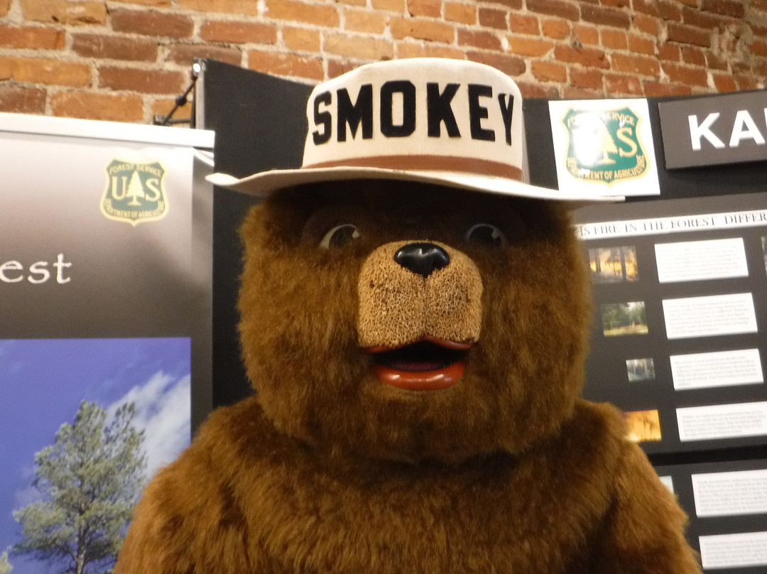 Williams and Forest Service Visitor Center-威廉姆斯必去景点