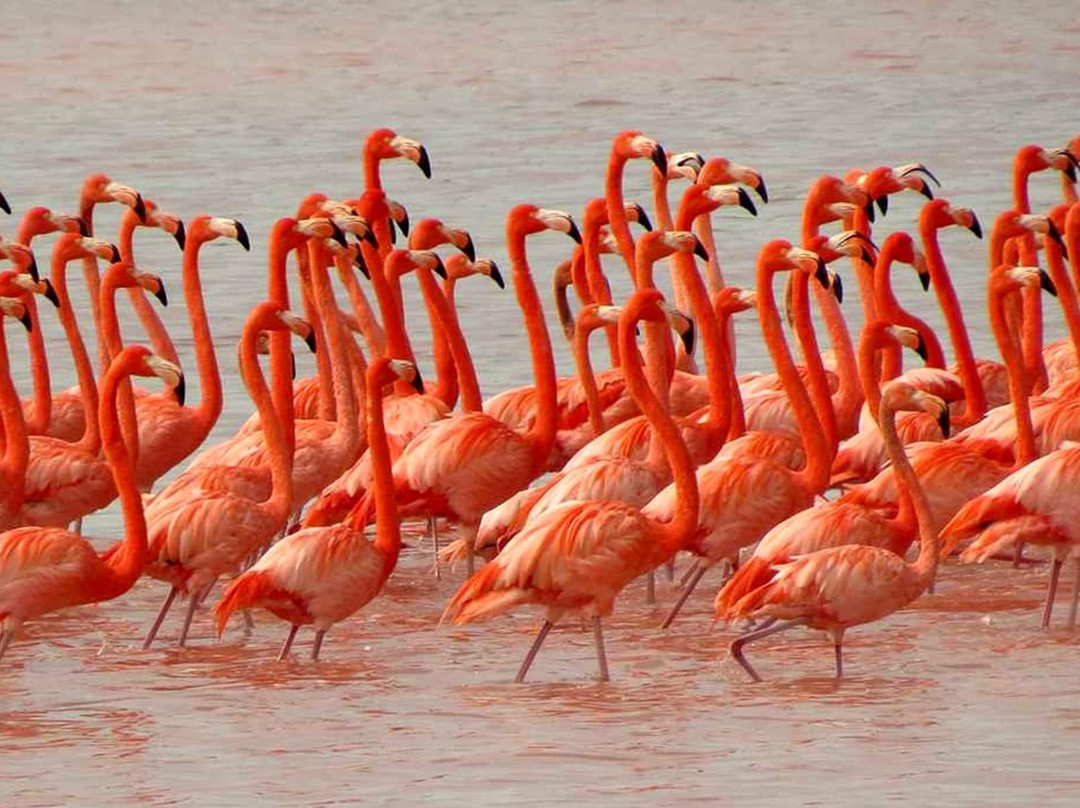 Chundikulam National Park-Kilinochchi必去景点