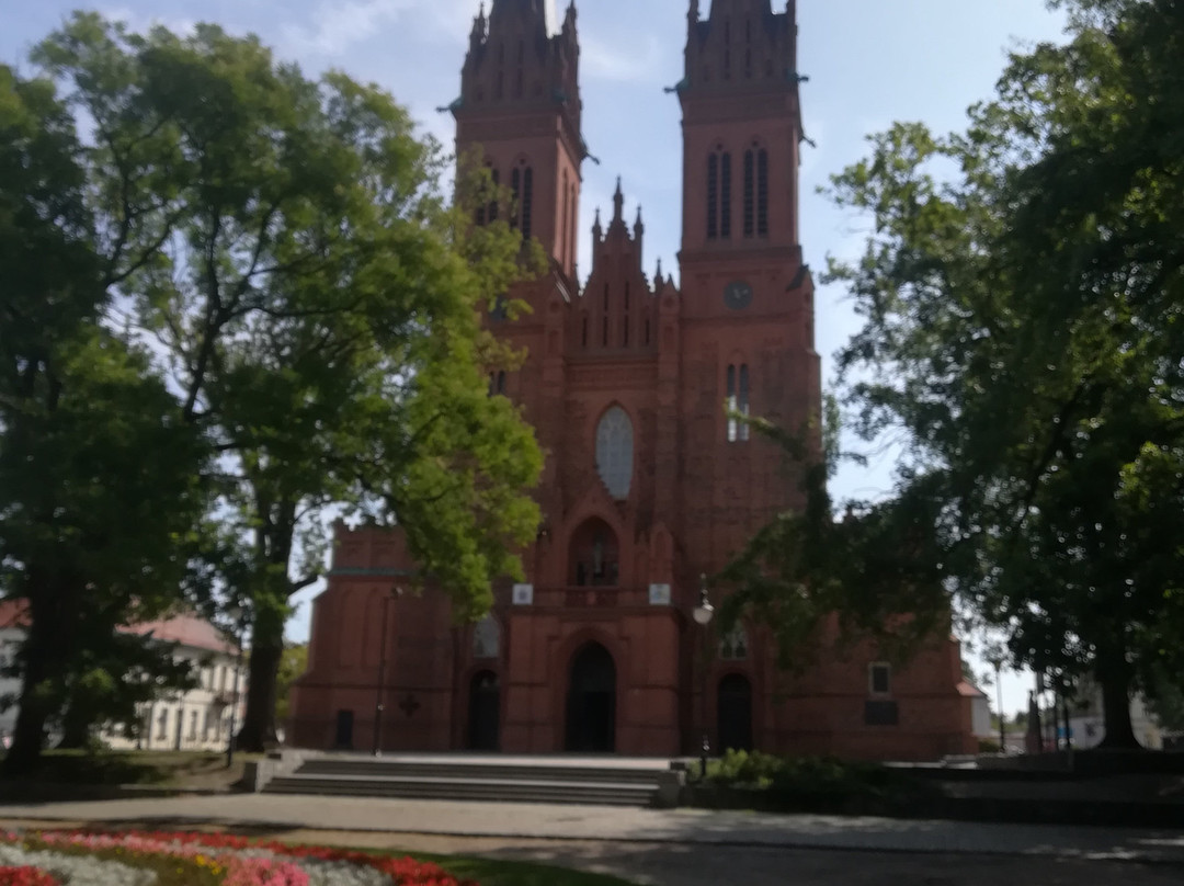 Basilica Cathedral of the St. Mary Assumption, Wloclawek, Poland景点图片