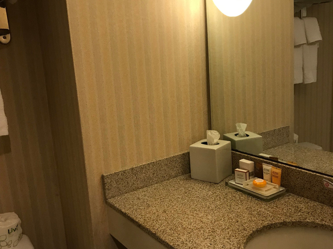 弗吉尼亚科技与斯凯尔顿会议中心旅馆主图