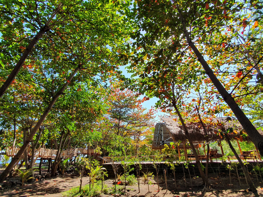 Budi Sun Resort主图