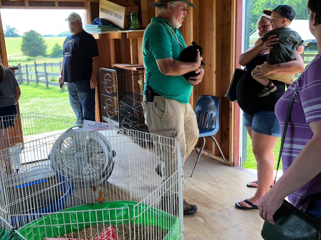 Clark's Elioak Farm-埃利科特城必去景点