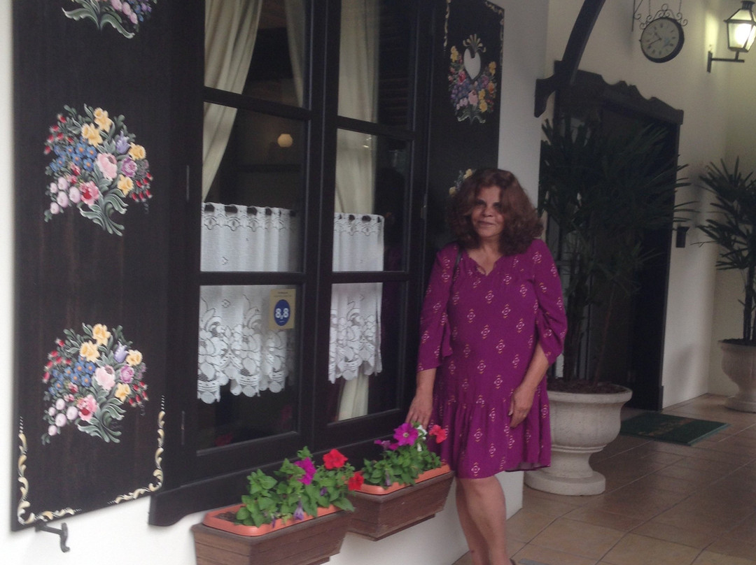 Pousada Blauberg主图