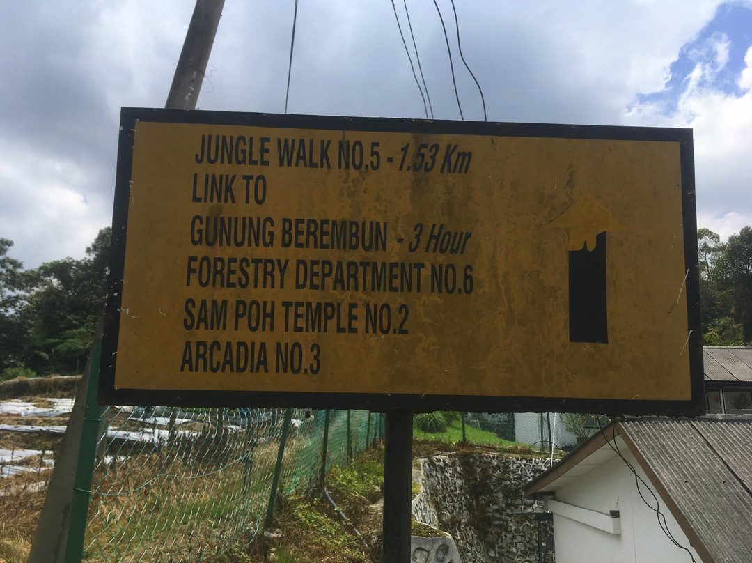 Cameron Highlands Trail No. 5 and 7景点图片