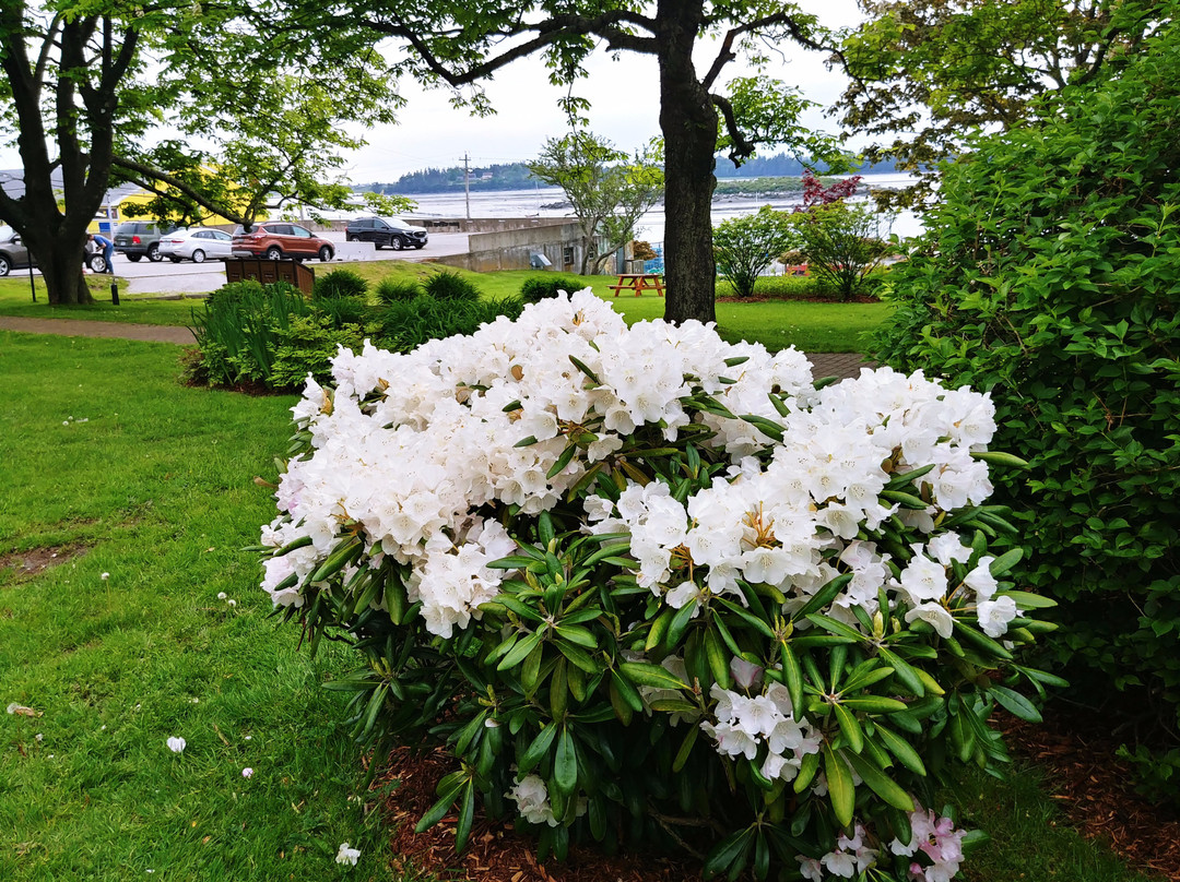 Frost Park-Yarmouth必去景点