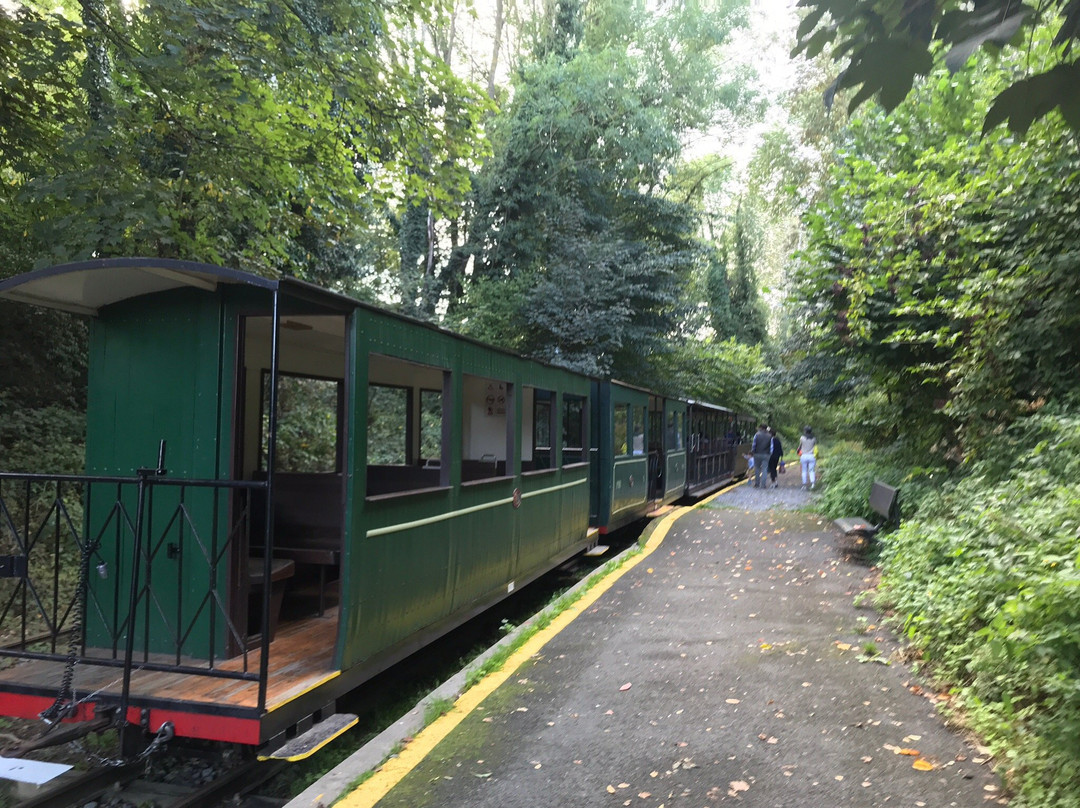 Le Petit Train du Bonheur景点图片