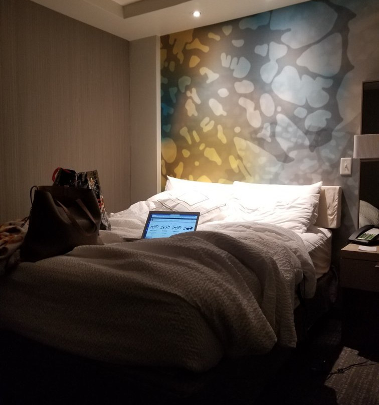斯普林酒店住宿-Courtyard by Marriott Houston City Place