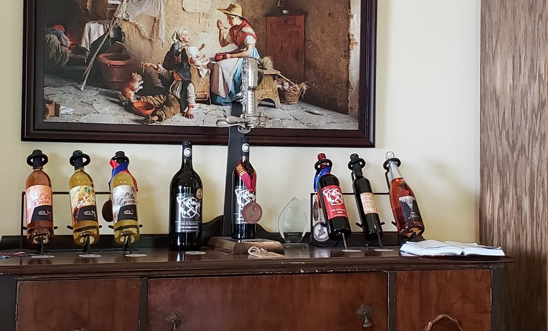 Vignoble Côte De Vaudreuil-沃德勒伊多里翁必去景点