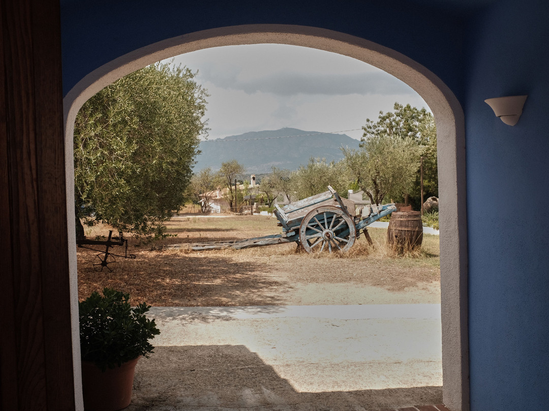 Agriturismo Guthiddai主图