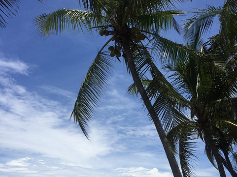 克拉丽塔的酒店