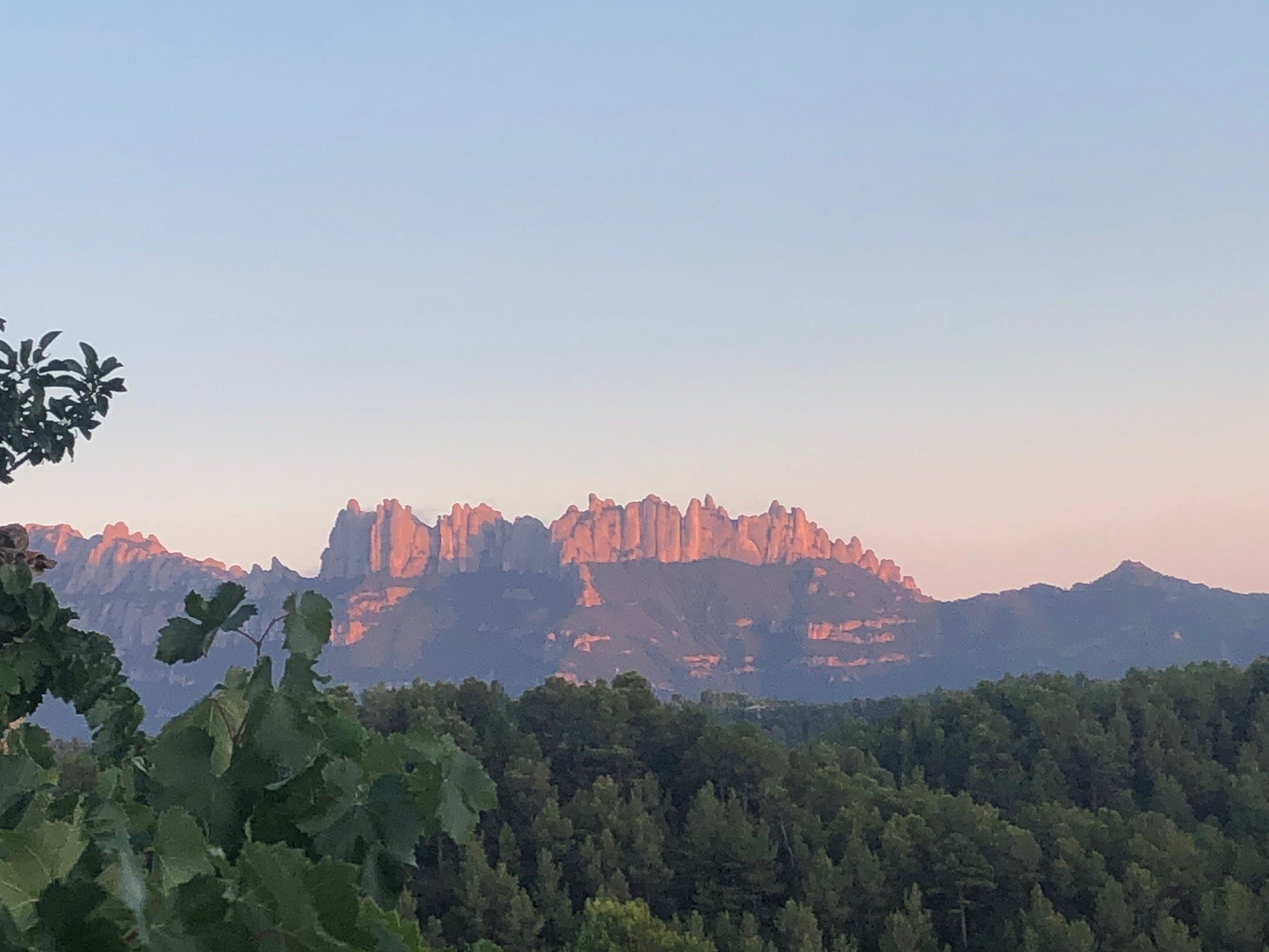 Castell de Guardiola-官方