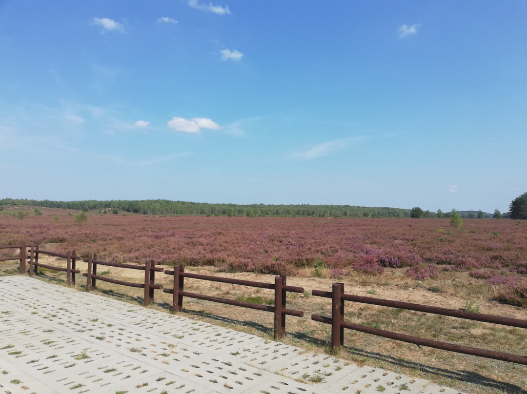 Diabelskie Pustacie Conservation Area景点图片