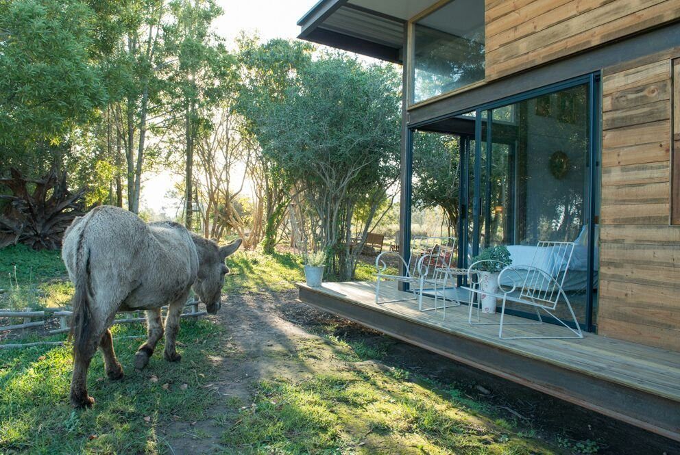 Villa Vilekulla主图