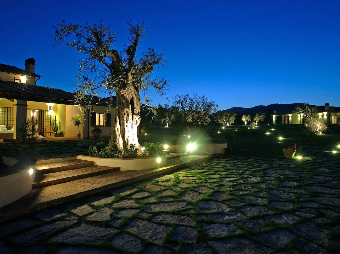 Agriturismo Il Casale degli Olivi主图